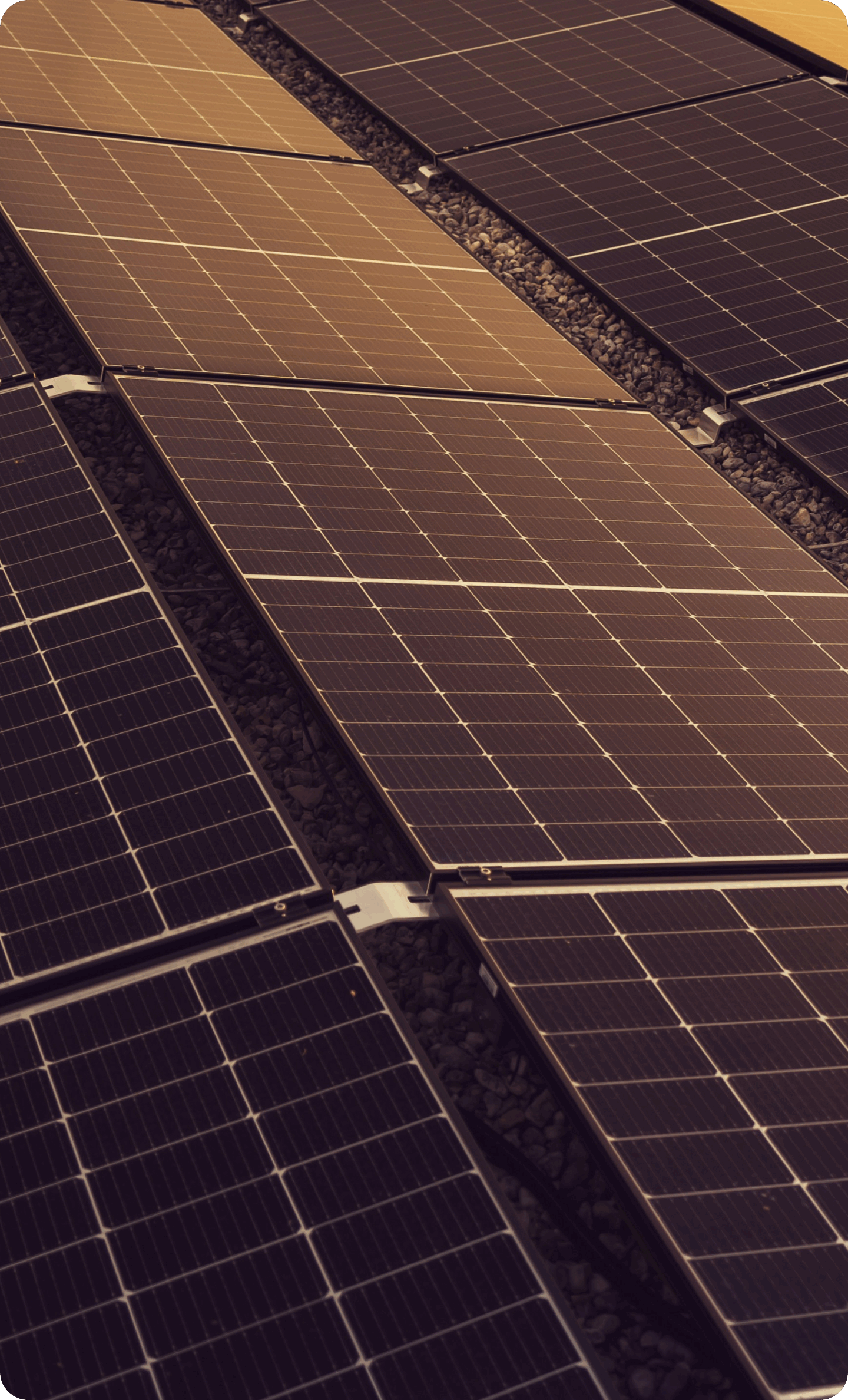 EcoVadis 评级提升服务案例 | 某千亿市值光伏设备及元器件上市公司案例图片